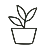 Ambience Icon